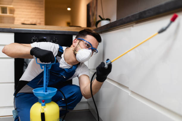 Best Pest Removal Services  in Melrose Park, NY
