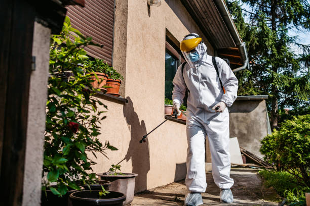 Bird Control in Melrose Park, NY