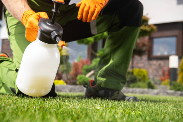 Best Affordable Pest Control Services  in Melrose Park, NY