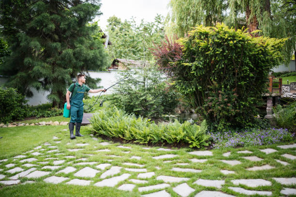 Best Wasp Removal Services  in Melrose Park, NY